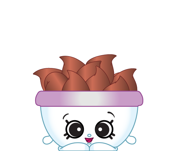 #6-014 - Choc Chips - Common