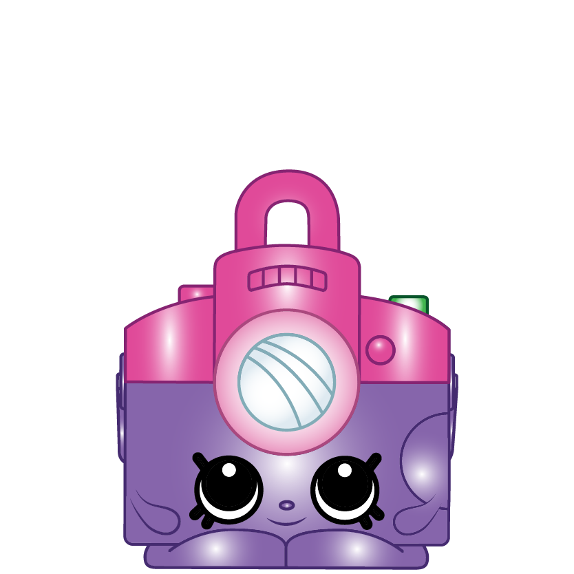 #8-242 - Flash Camera - Special Edition